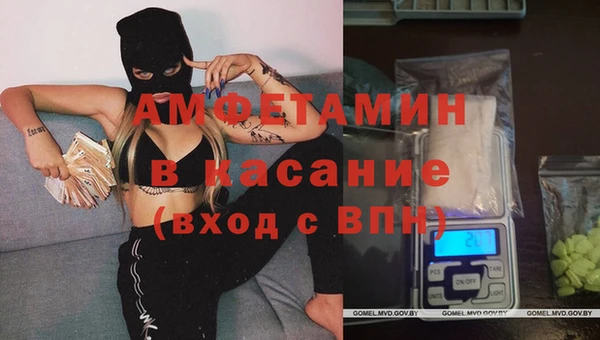 ешки Аркадак