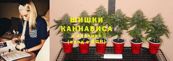 spice Балахна